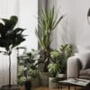 Full Plant Scene