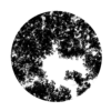 Gobo Tree Animated 03