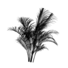 Gobo Plant Animated 02