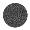 Gobo Pool Caustics 01