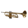 Trumpet 01
