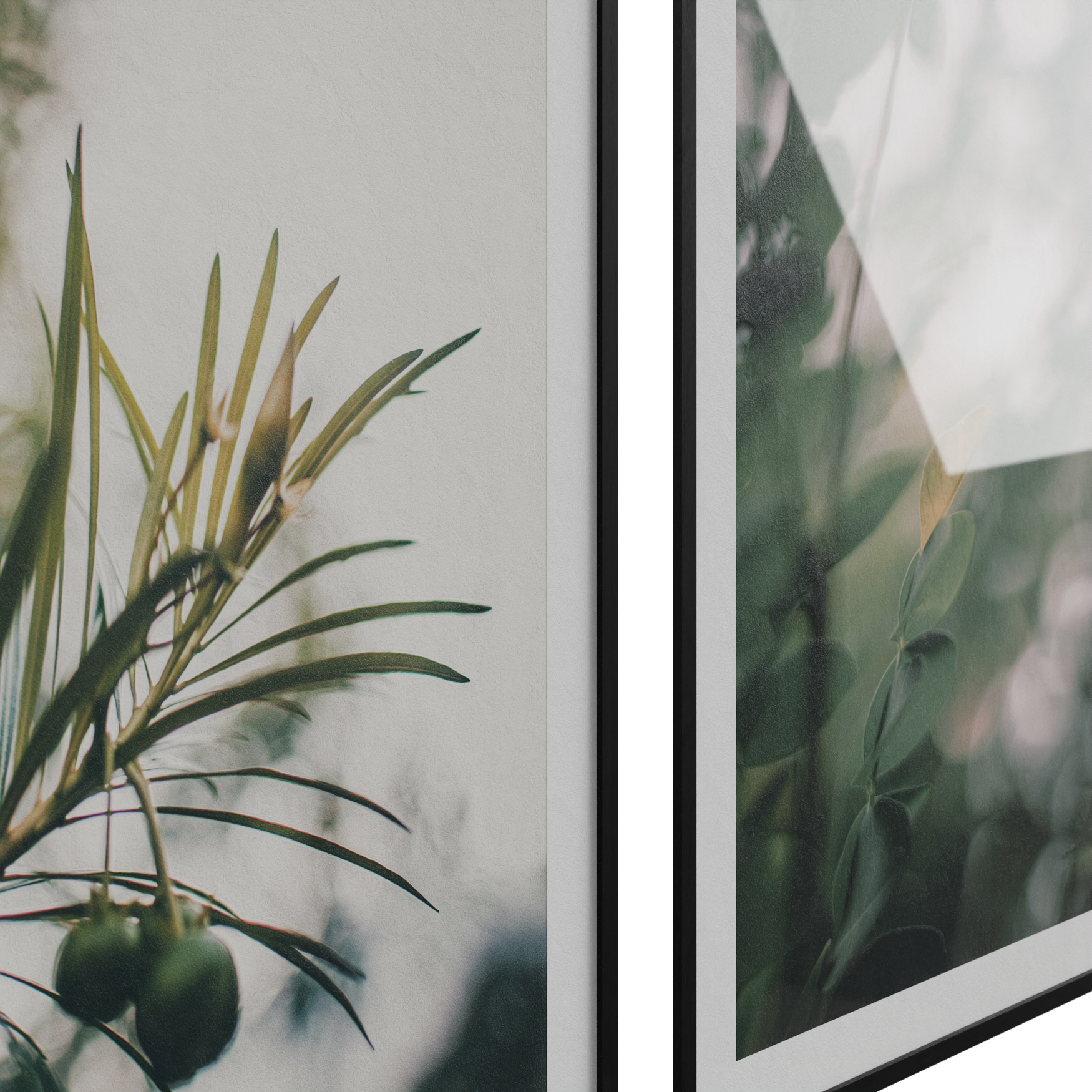 Decorations_Frames_Plant_02_Beauty