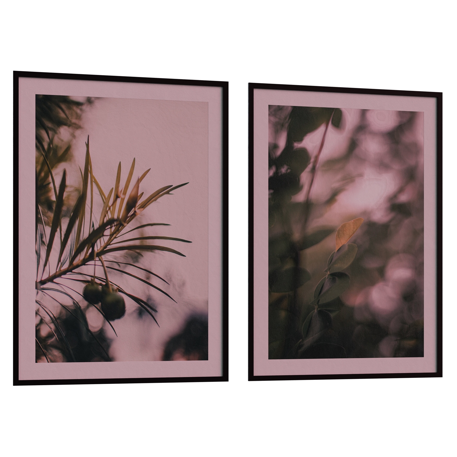 Decorations_Frames_Plant_02_Hover