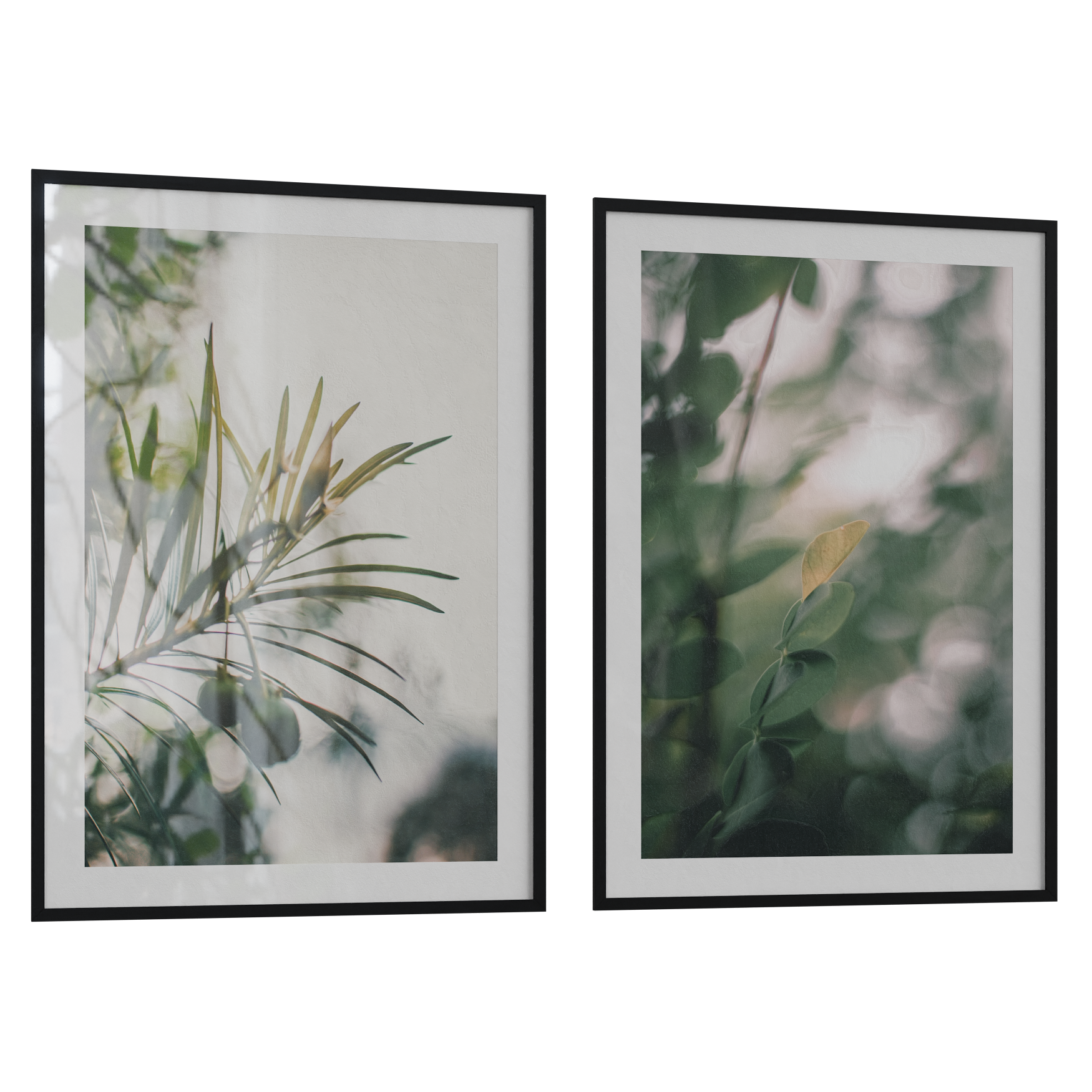 Decorations_Frames_Plant_02