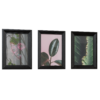 Plant Frames 01