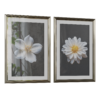 Macro Flower Frames 01