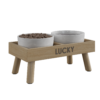 Dog Bowl 01