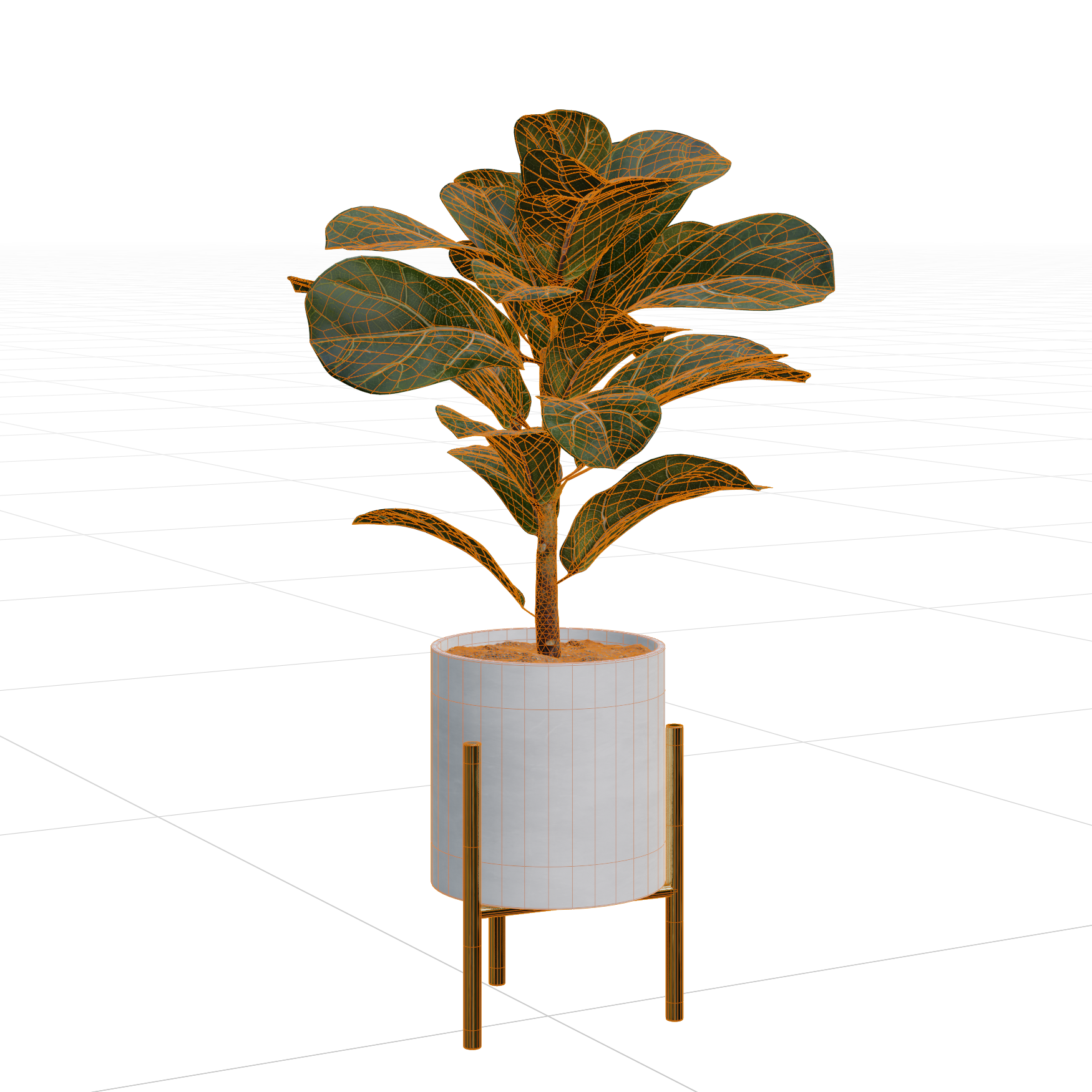 Plants_Indoor-Floor_Ficus-Lyrata_02_Wireframe