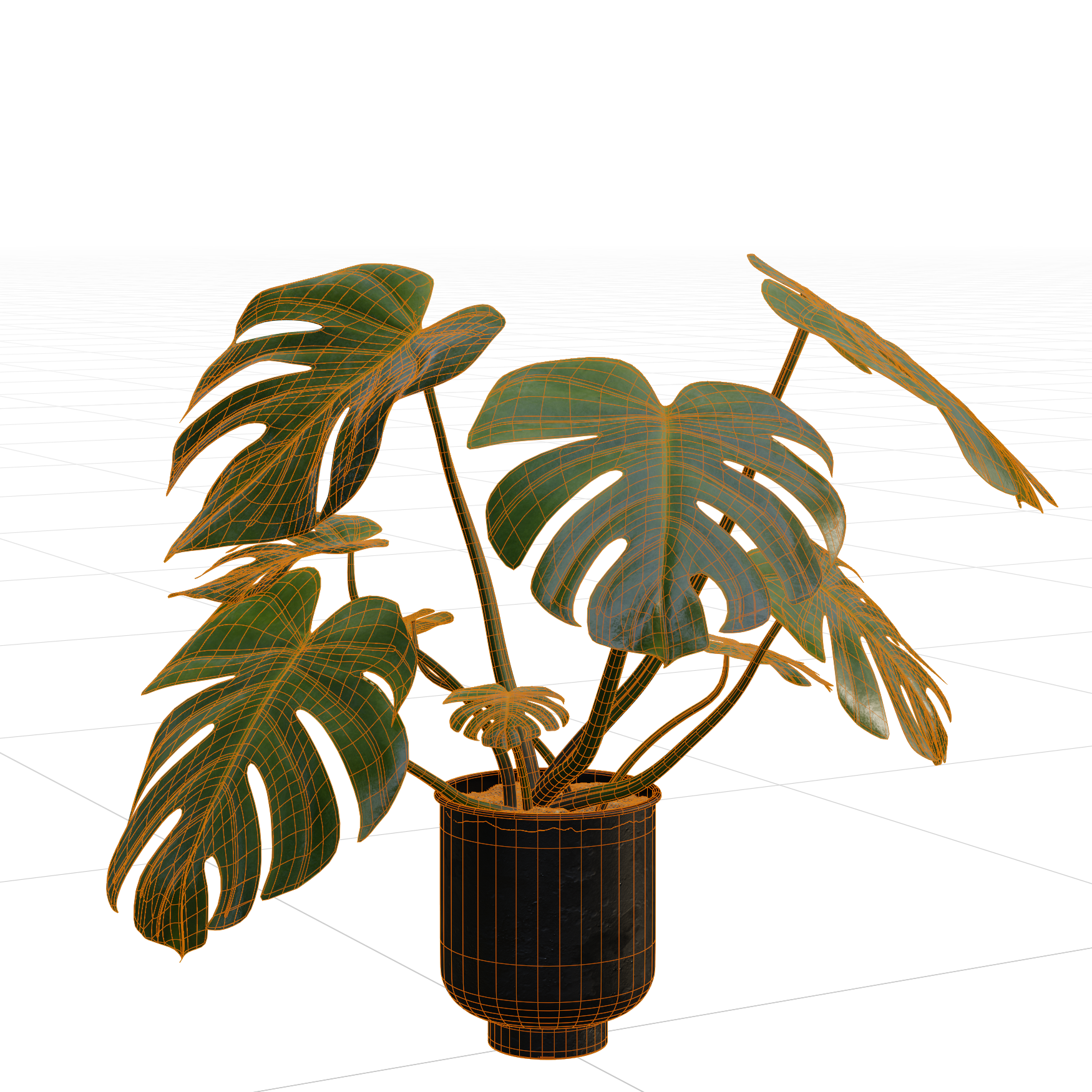 Plants_Indoor-Floor_Monstera_02_Wireframe