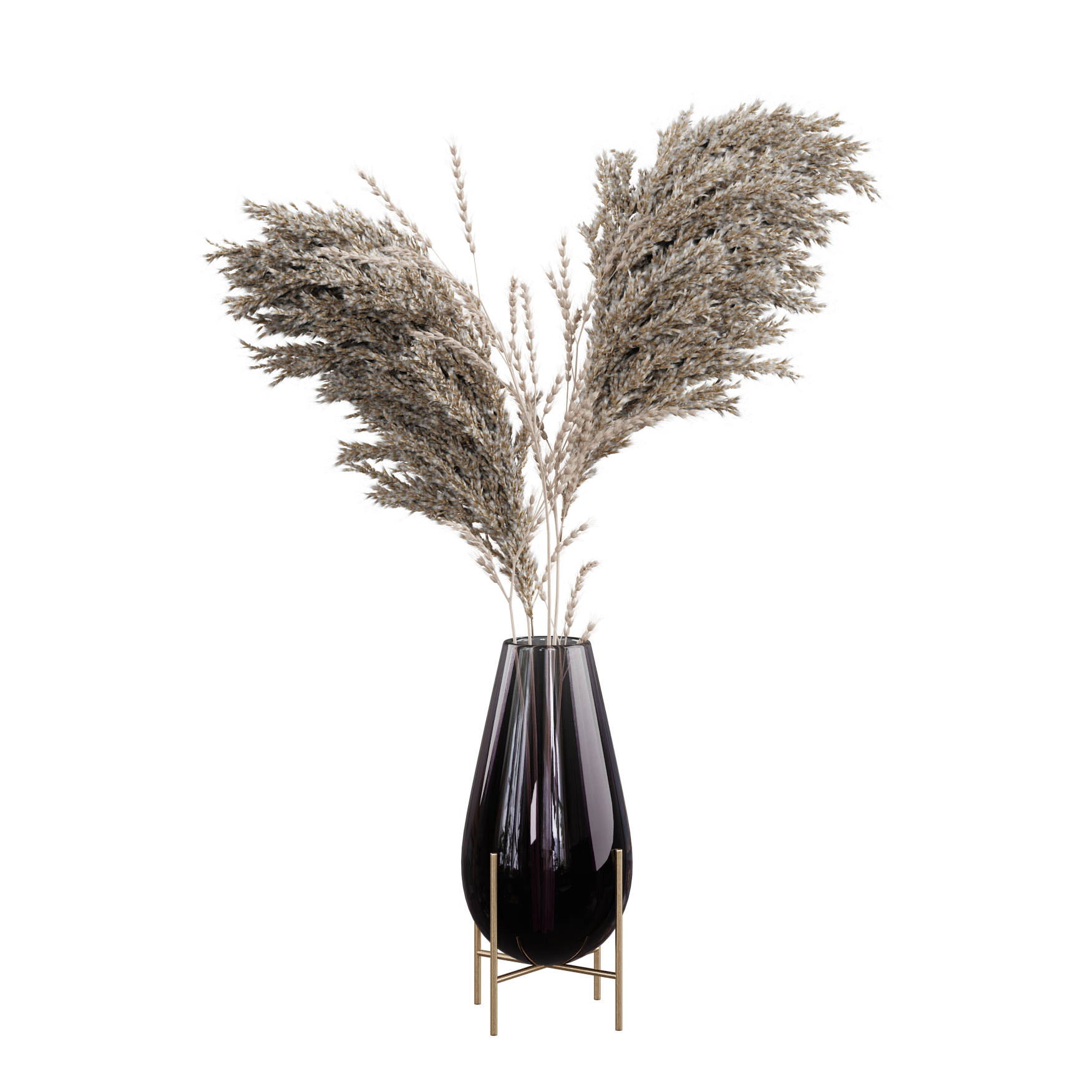 Plants_Indoor-Floor_Pampas-Wheat_01