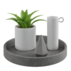 Aloe Vera Tray 01