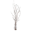 Branch Plant 01