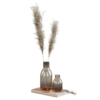 Pampas Decoration Set 02