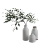 Leaf Pot 02