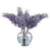 Lilac Flower 01