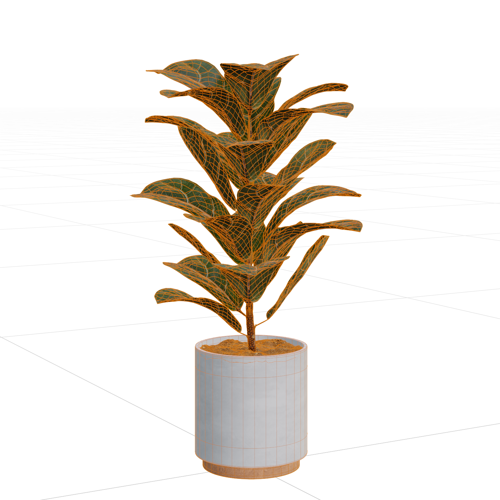 Plants_Indoor-Table_Ficus-Lyrata_01_Wireframe