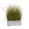 Grass Box 01