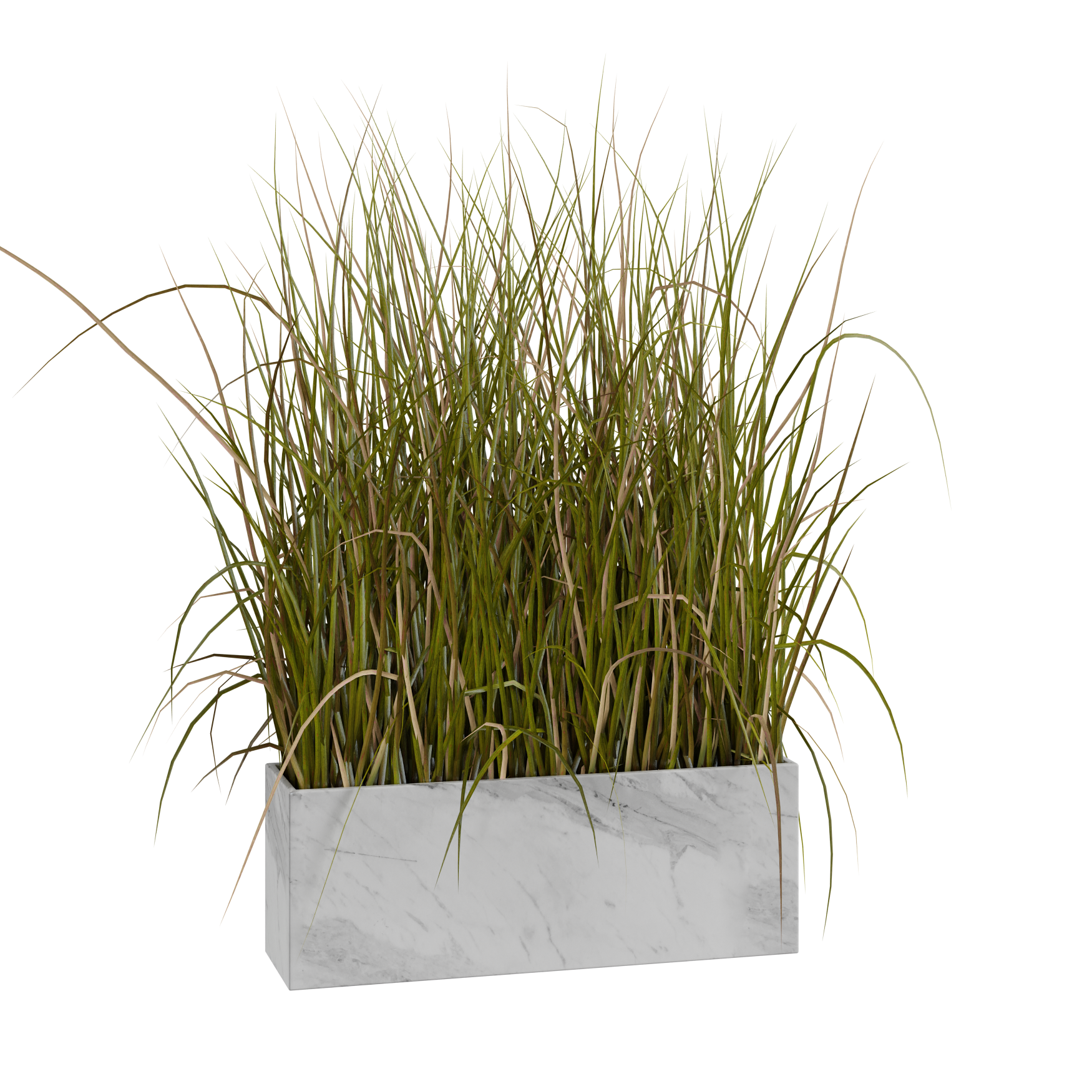 Plants_Indoor-Table_Grass-Box_01