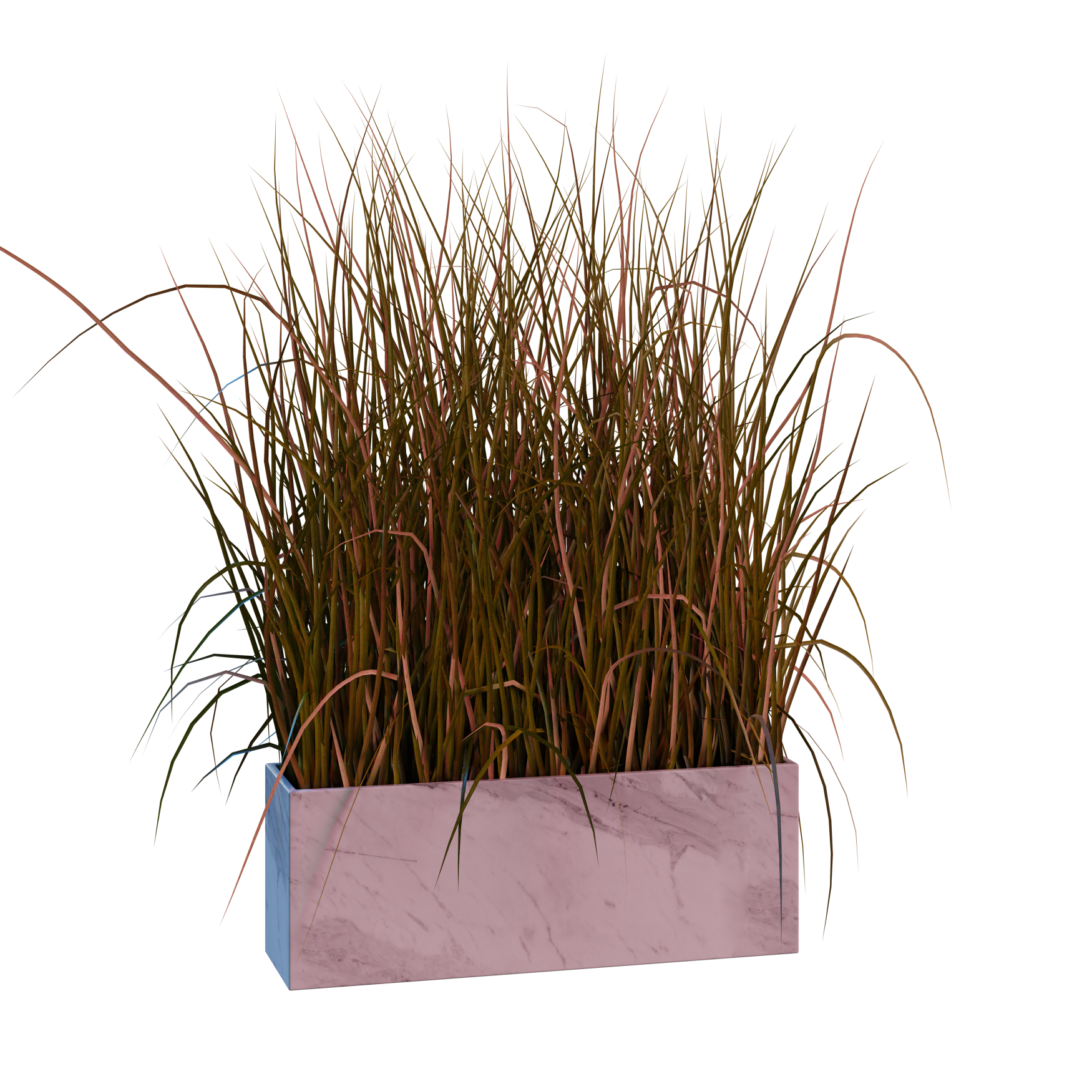 Plants_Indoor-Table_Grass-Box_01_Hover