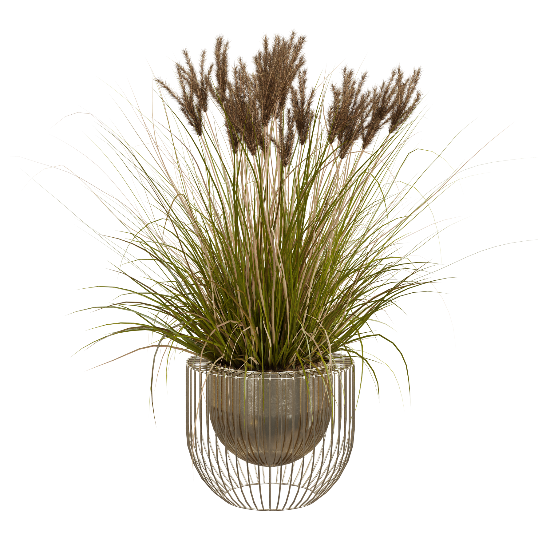 Plants_Indoor-Table_Grass_Pot_01