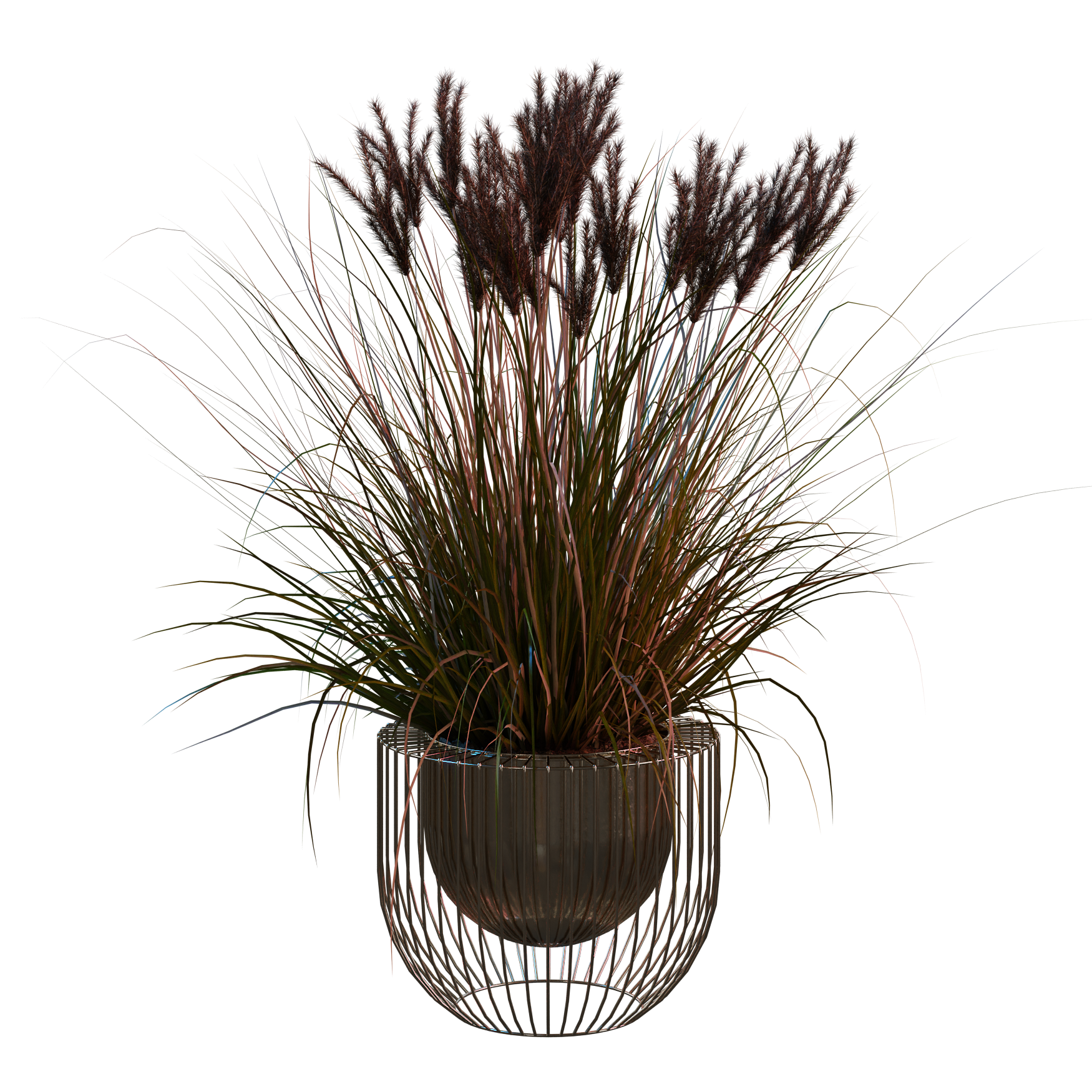Plants_Indoor-Table_Grass_Pot_01_Hover