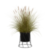 Grass Pot 02