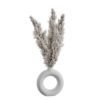 Furry Pampas 01