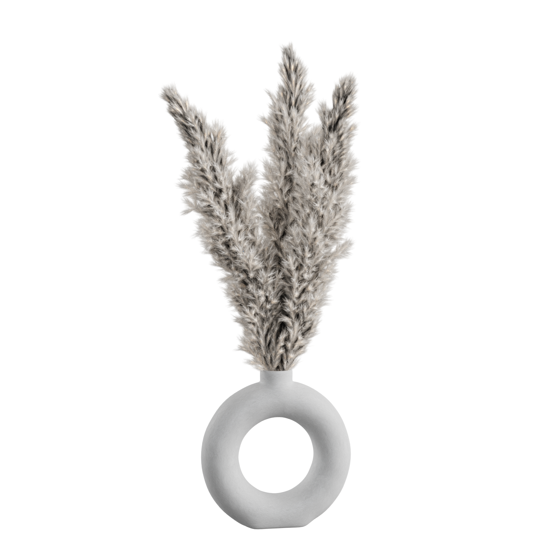 Plants_Indoor-Table_Pampas-Furry_01