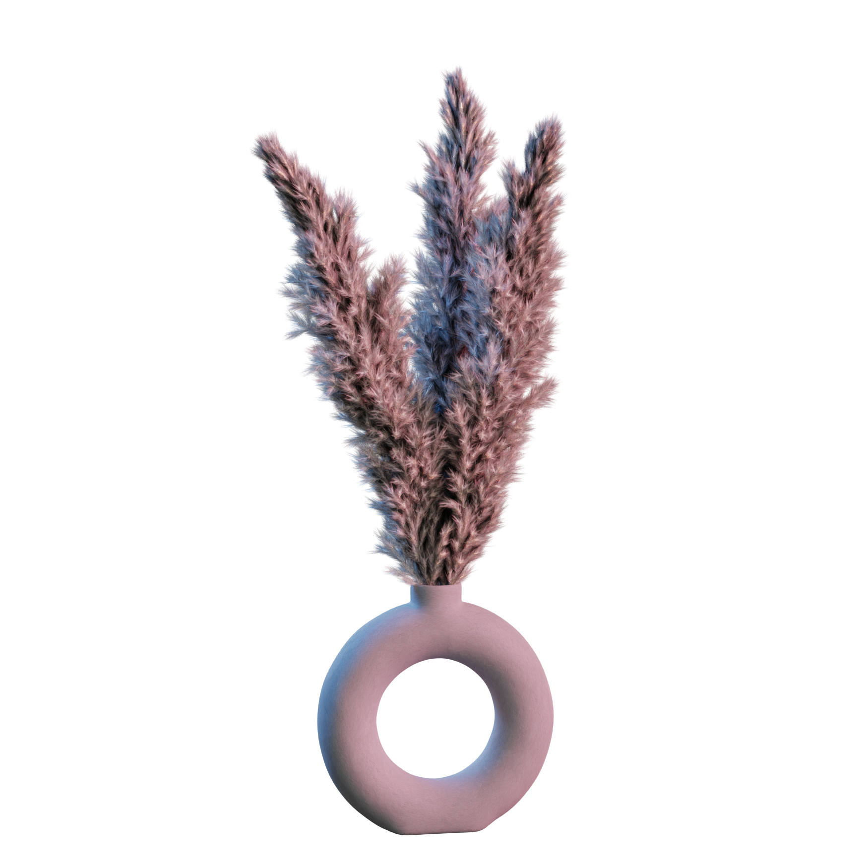 Plants_Indoor-Table_Pampas-Furry_01_Hover