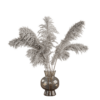 Furry Pampas 03