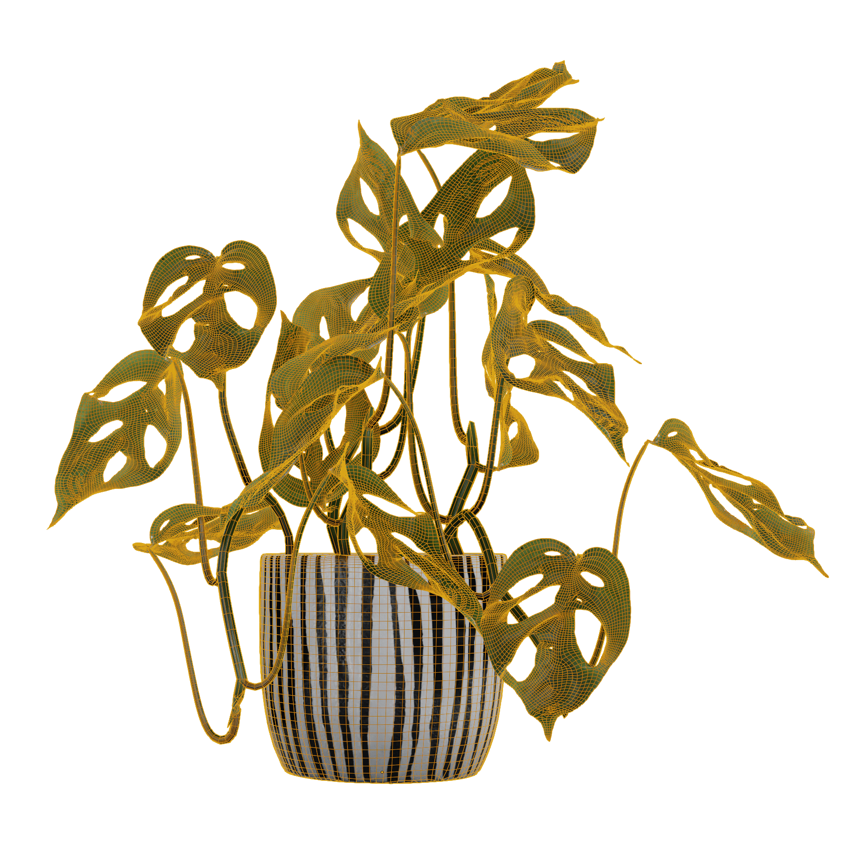 Plants_Indoor-Table_Monkey-Leaf_01_Wireframe