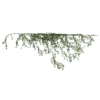 Hanging Wall Ivy 03