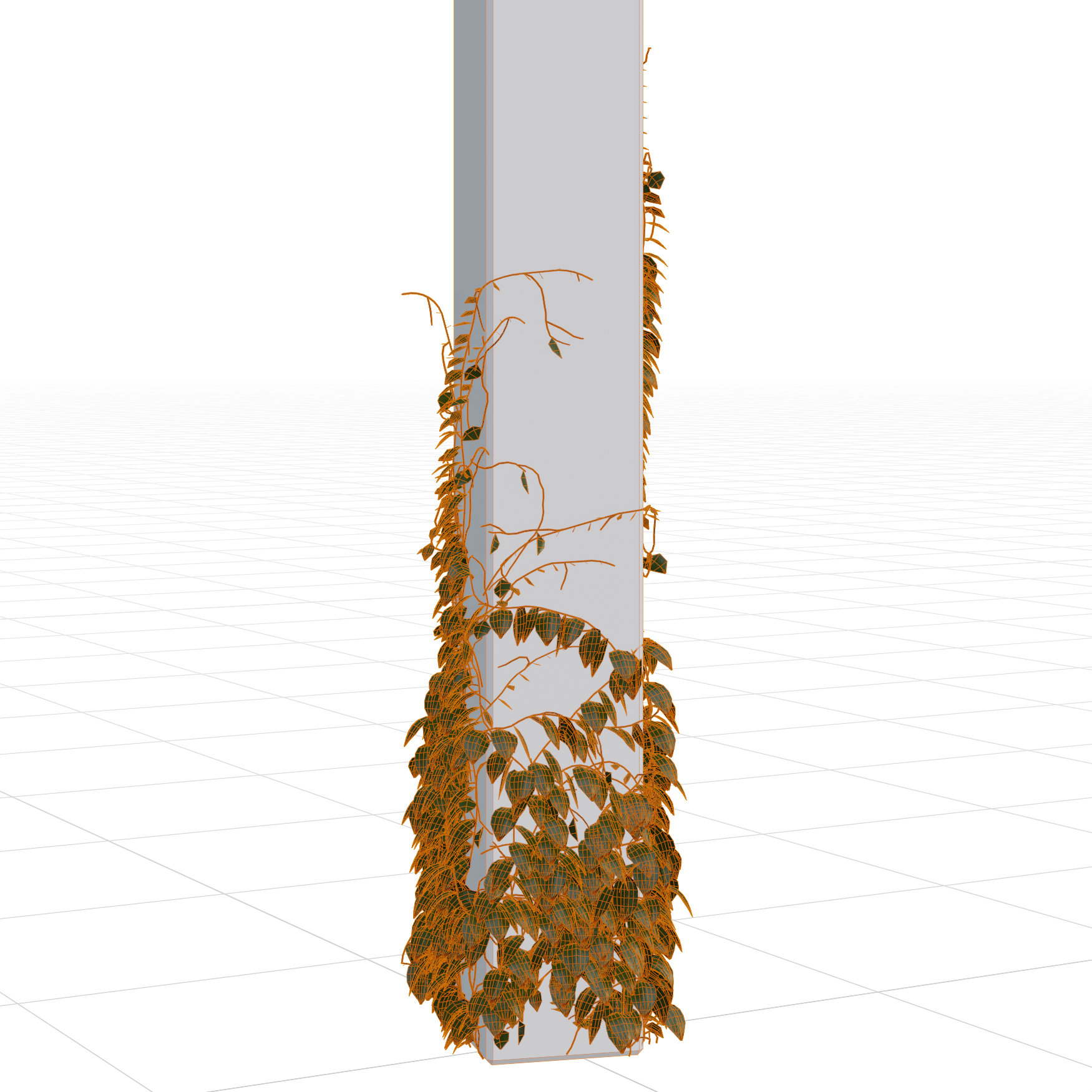 Plants_Outdoor-Climbers_Ivy-Pillar-Square_01_Wireframe