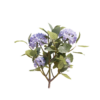 Hydrangea 03