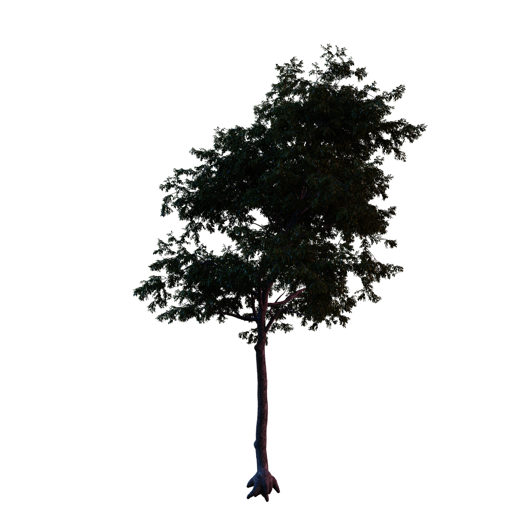 Plants_Trees_Generic_01_Hover
