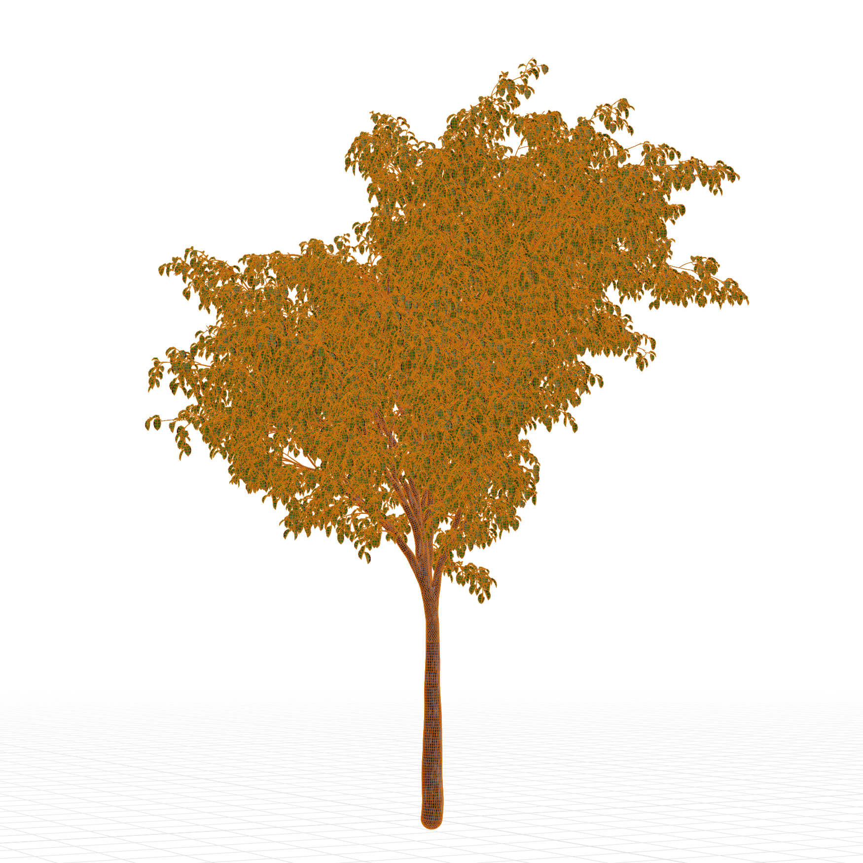 Plants_Trees_Generic_04_Wireframe