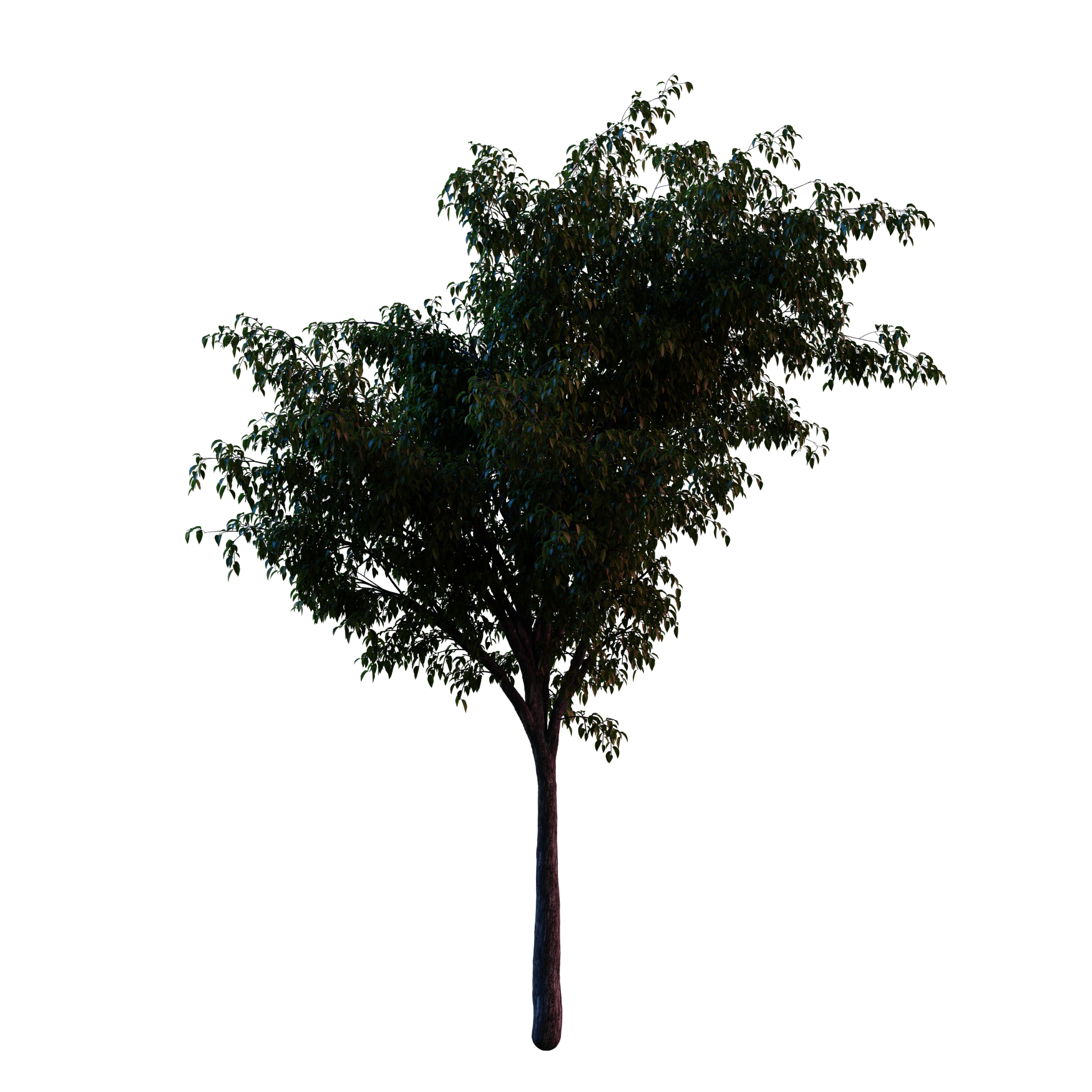 Plants_Trees_Generic_04_Hover