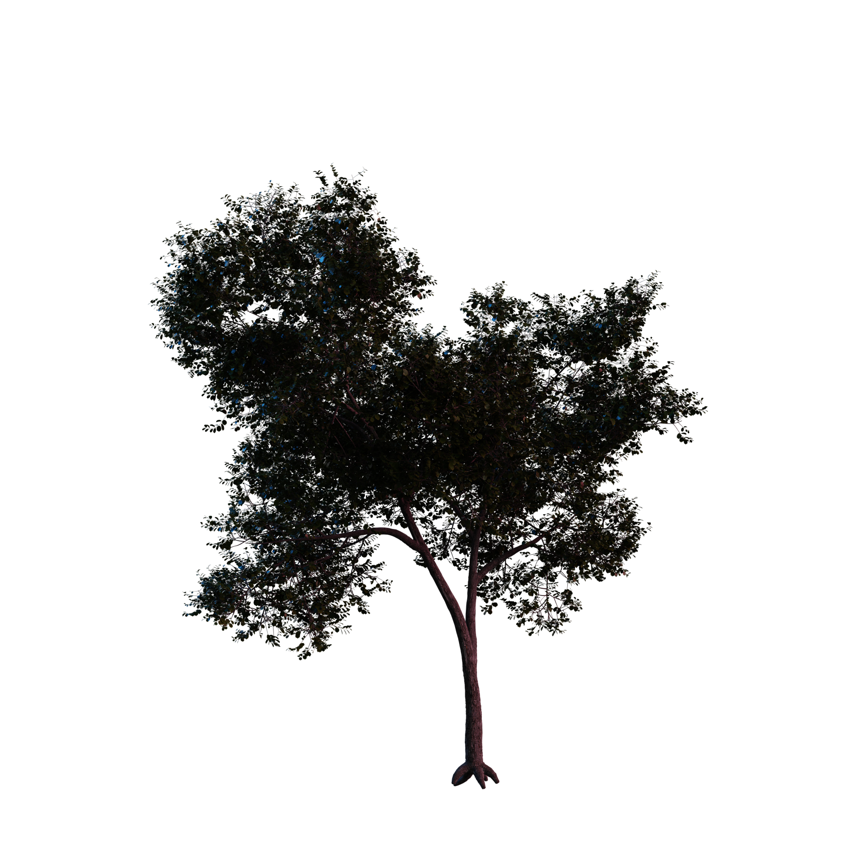 Plants_Trees_Generic_08_Hover