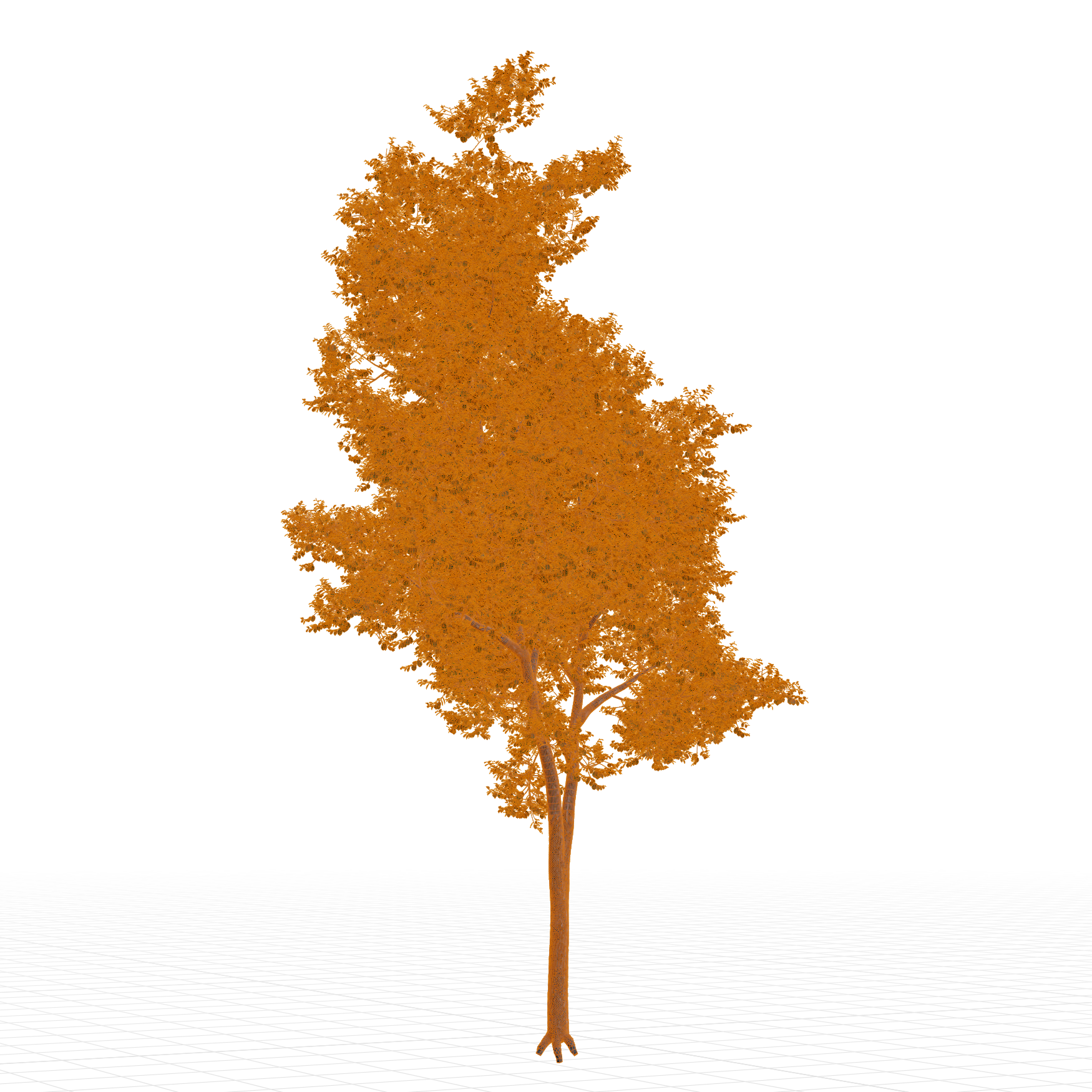 Plants_Trees_Generic_09_Wireframe
