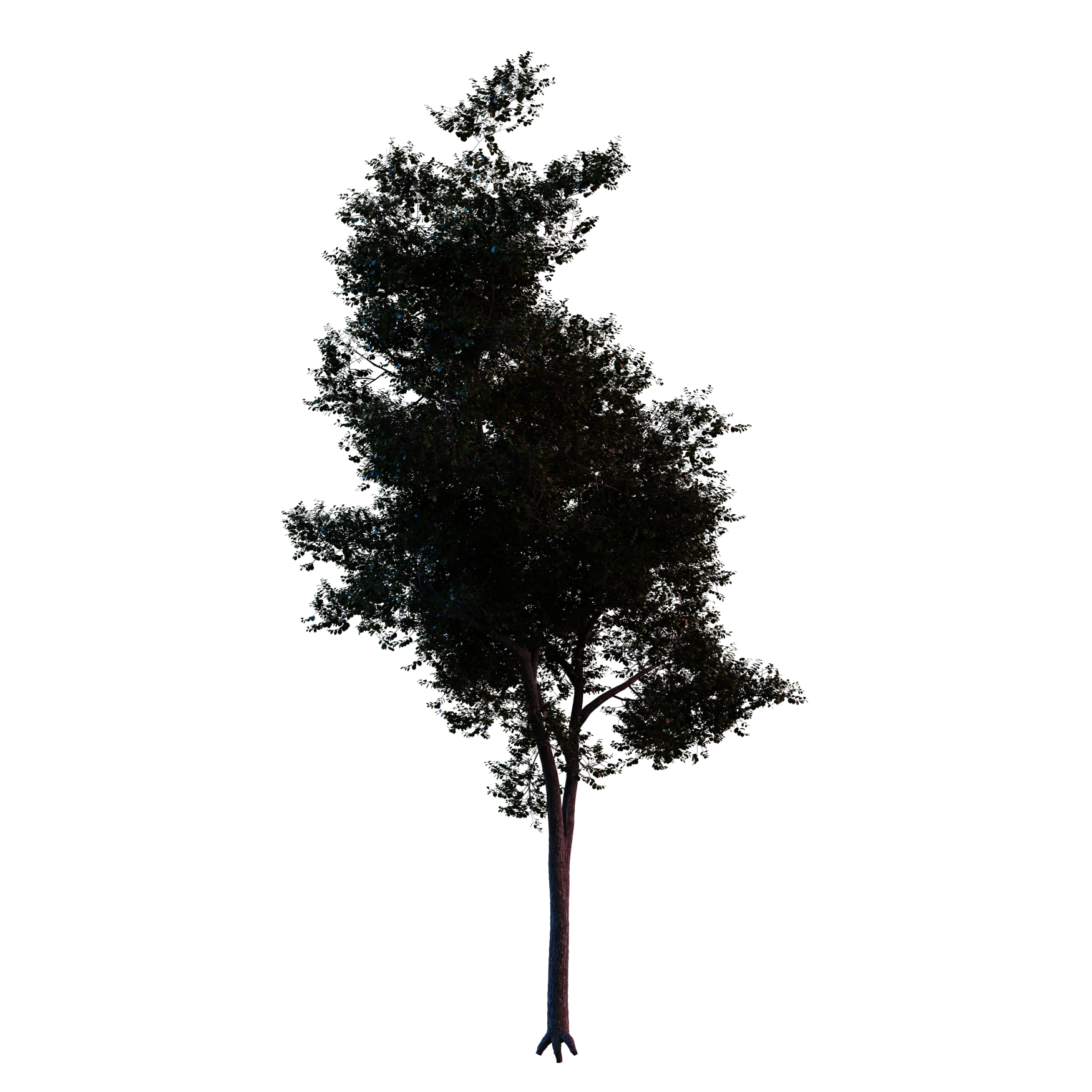 Plants_Trees_Generic_09_Hover