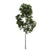 Generic Tree 11