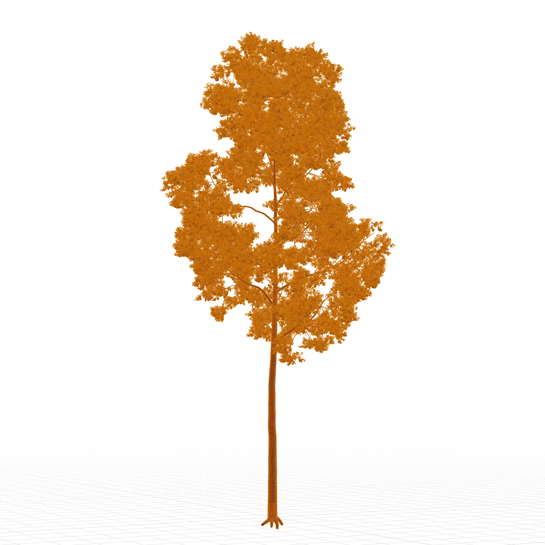 Plants_Trees_Generic_11_Wireframe