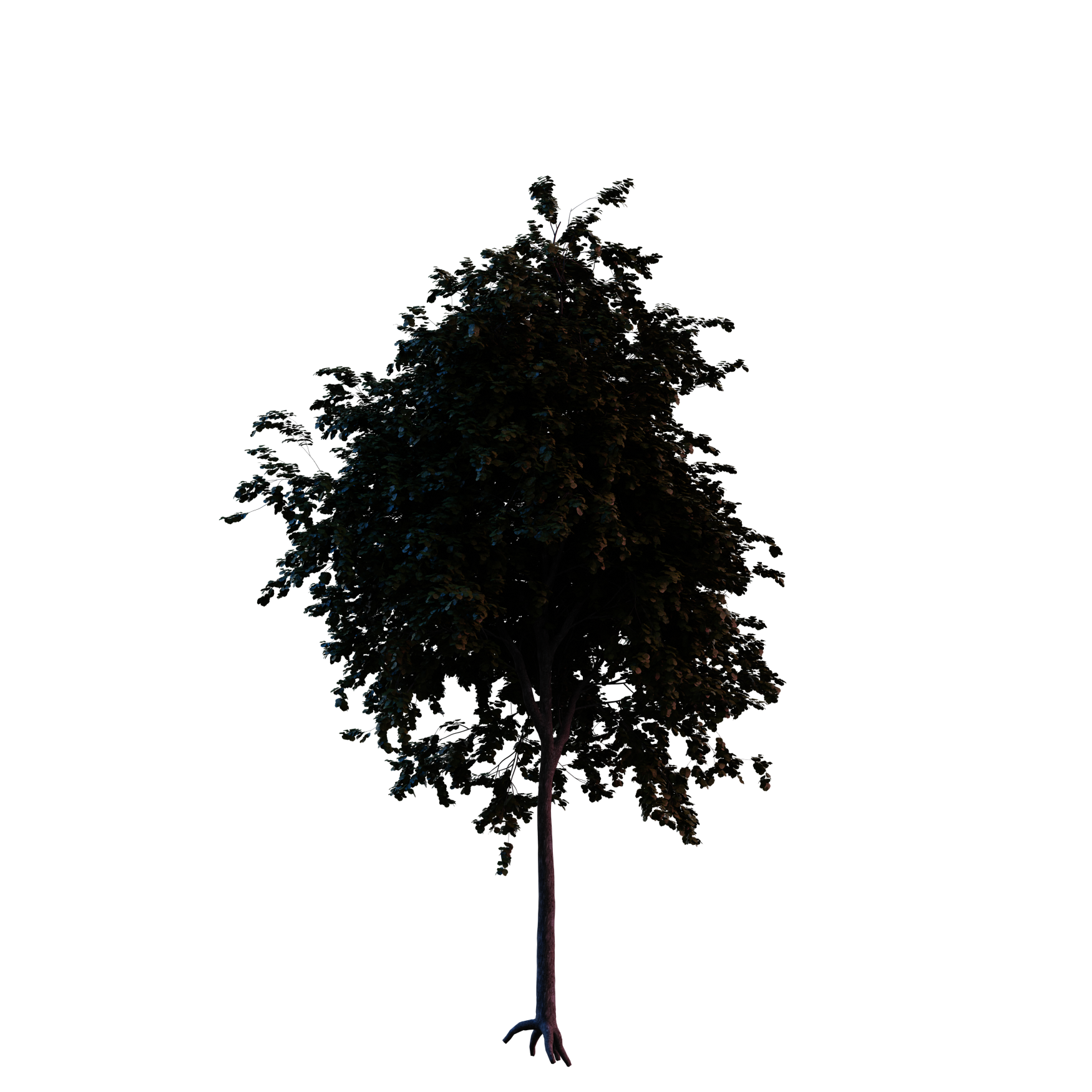 Plants_Trees_Generic_15_Hover