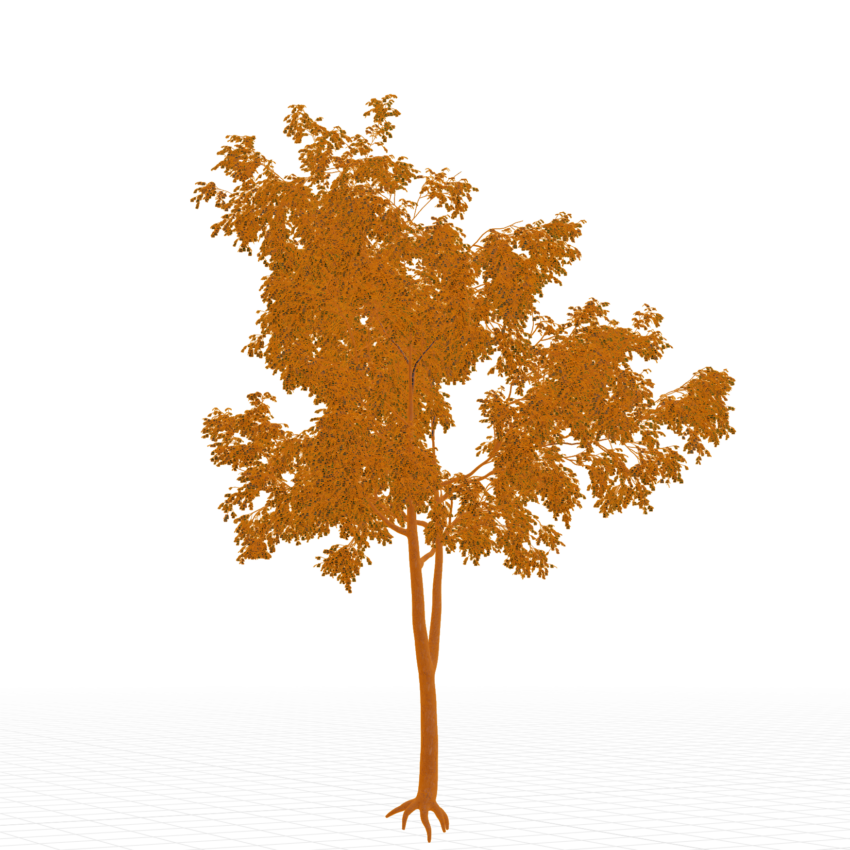 Generic Tree 17 • iMeshh - 3D Model for Blender 4.0+