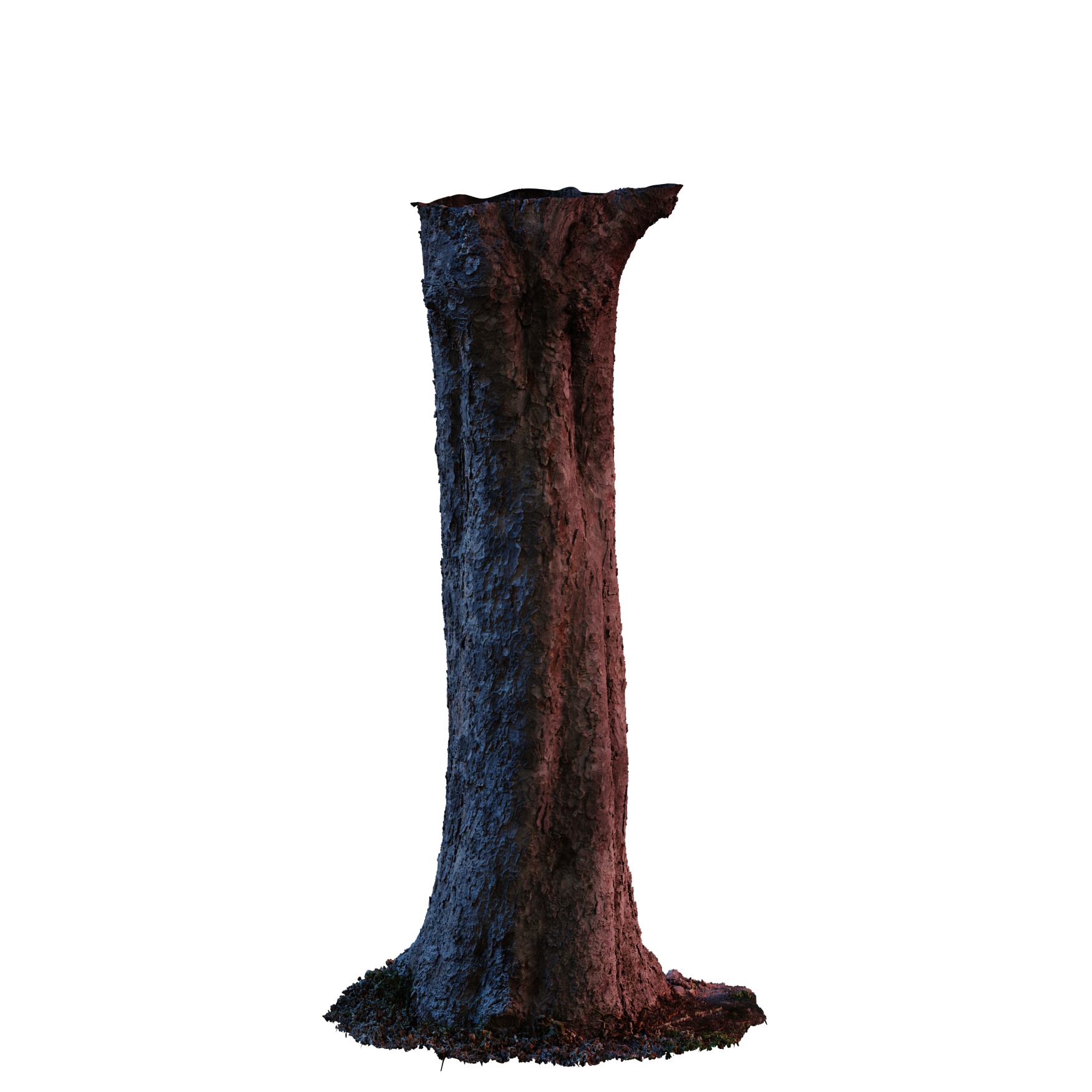 Plants_Trees_Trunk-Scanned_01_Hover