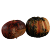 Pumpkins 01