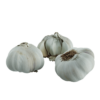Garlic 01