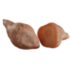 Sweet Potato 01