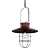 Rustic Pendant Light 01