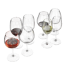 Wine Glass Set 01
